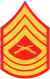 08-First-Sergeant.png